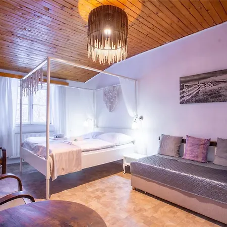 Penzion Sofinata Pension Špindlerŭv Mlýn